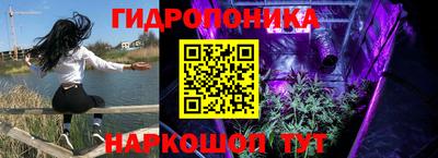 мяу мяу мука Нягань